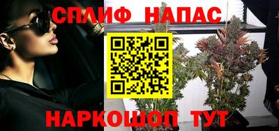 амф Славгород