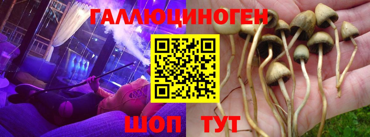 Нарткала  Галлюциногенные грибы мухоморы  Псилоцибиновые грибы Psilocybine cubensis  Вход с VPN 
