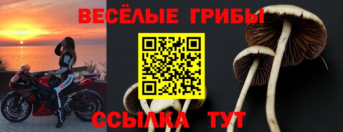Галлюциногенные грибы Cubensis Нарткала